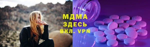индика Алзамай