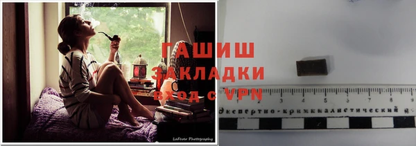 индика Алзамай