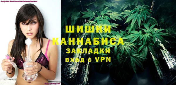 индика Алзамай