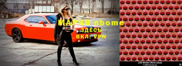 индика Алзамай